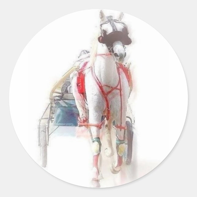 Adesivo Redondo Cavalo-Padrão (Frente)
