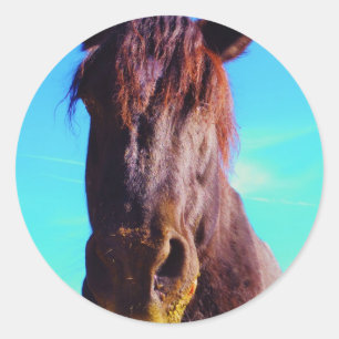 Adesivo Redondo Cavalo Roxo com Boca Verde