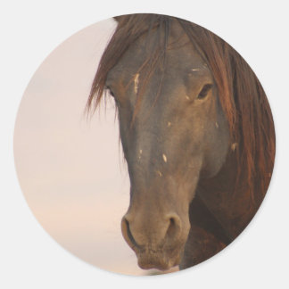ADESIVO REDONDO CAVALO SELVAGEM DE UTAH NO DESERTO OCIDENTAL