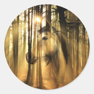 Adesivo Redondo Cavalo sol