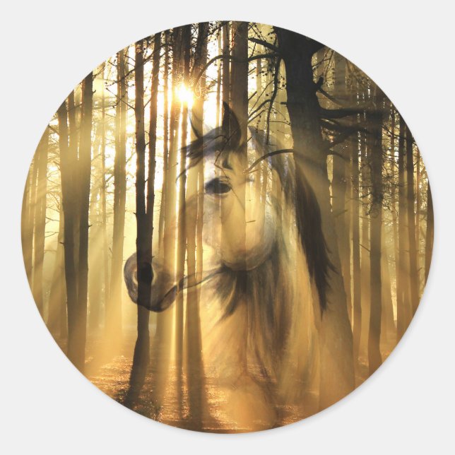 Adesivo Redondo Cavalo sol (Frente)