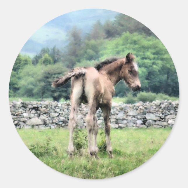 ADESIVO REDONDO CAVALOS (Frente)
