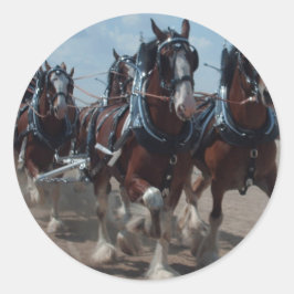 Adesivo Redondo Cavalos Clydesdale