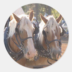 Adesivo Redondo Cavalos de esboço