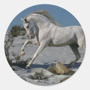 Adesivo Redondo Cavalos de Fantasia: Rei da Neve