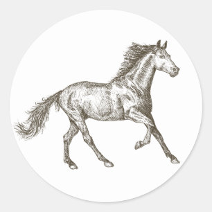 Adesivo Redondo Cavalos Ocidentais Equestre País Cavalo Rústico