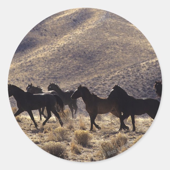 Adesivo Redondo Cavalos Selvagens Mustang no Deserto 1 (Frente)