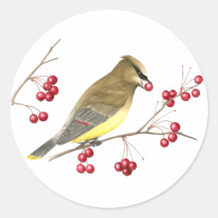 Adesivo Redondo Cedar Waxwing Bird Art Sticker