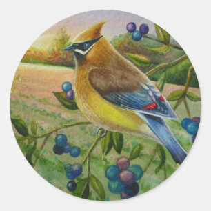 Adesivo Redondo Cedar Waxwing Bird Blueberry Fazenda