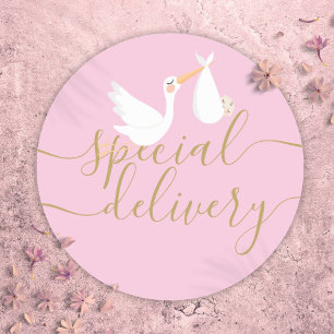 Adesivo Redondo Cegonha de Entrega Especial e Bebê Rosa