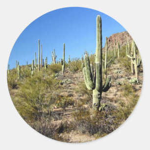 Adesivo Redondo Cena 03 do deserto de Sonoran
