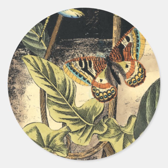 Adesivo Redondo Cena da Natureza Escura pelo Vision Studio (Frente)