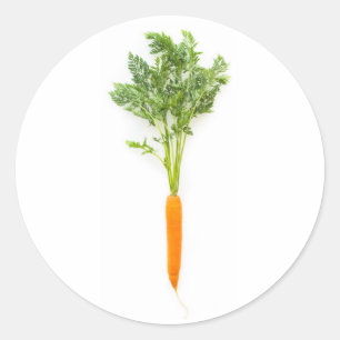 Adesivo Redondo Cenoura
