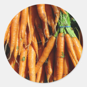 Adesivo Redondo Cenoura Laranja de Colheita Fresca da Fazenda à Me