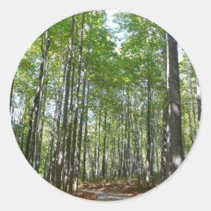 Adesivo Redondo Centennial Wooded Path II Ellicott City Maryland