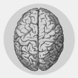 Adesivo Redondo Cérebro