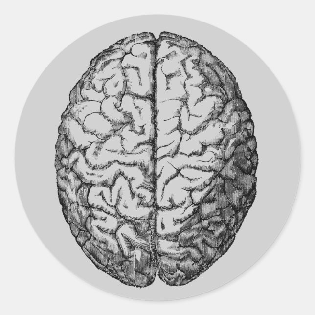 Adesivo Redondo Cérebro (Frente)