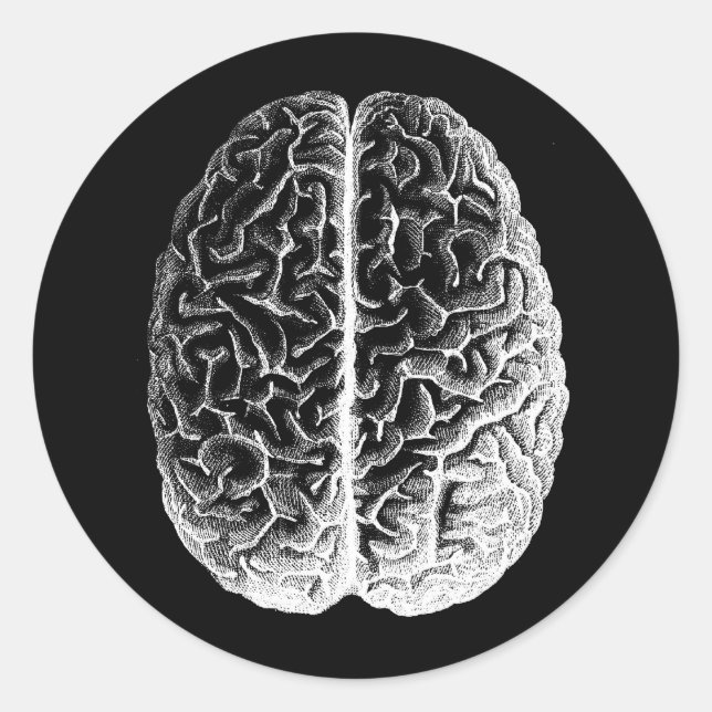 Adesivo Redondo Cérebros! (Frente)