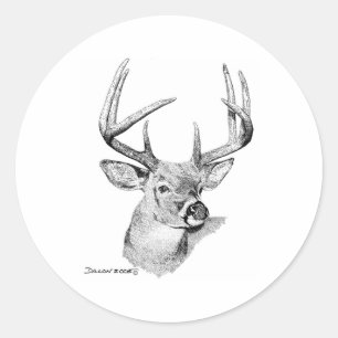 Adesivo Redondo Cervos de Whitetail