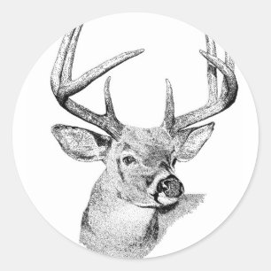 Adesivo Redondo Cervos de Whitetail