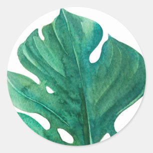 Adesivo Redondo Chá de Bebê Branco e Verde com Folhas Tropicais So