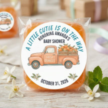 Chá de Bebê Caminhão Laranja Little Cutie Vintage