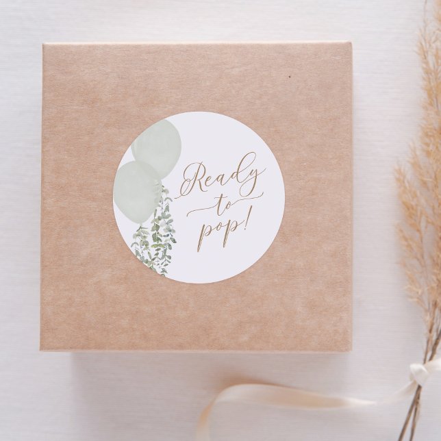 Adesivo Redondo Chá de Bebê Gêmeos Balão Verde Sage Pronto para Es (Criador carregado)