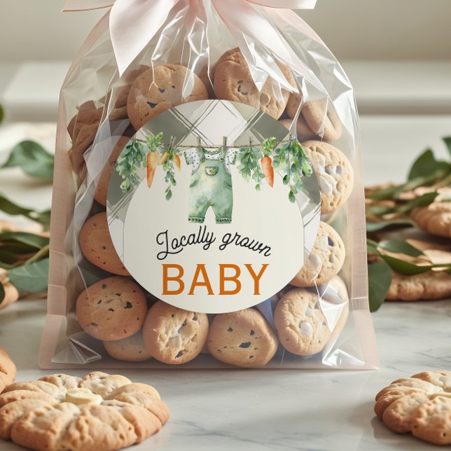 Adesivo Redondo Chá de fraldas de Gingham Clothesline Localmente C (Criador carregado)