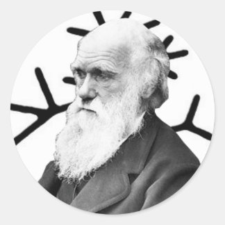 Adesivo Redondo Charles Darwin
