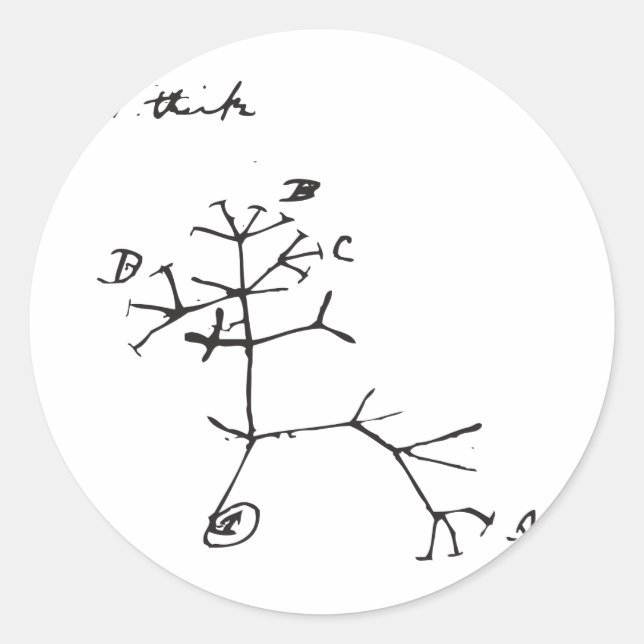 Adesivo Redondo Charles Darwin - Eu Acho (Preto) (Frente)