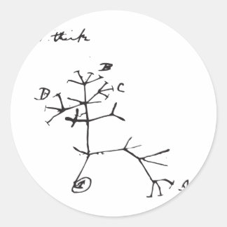 Adesivo Redondo Charles Darwin - Eu Acho (Preto)