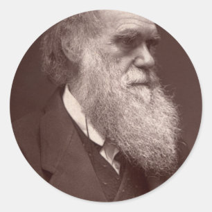 Adesivo Redondo Charles Darwin Sticker