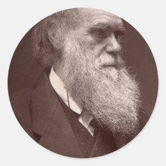 Adesivo Redondo Charles Darwin Sticker