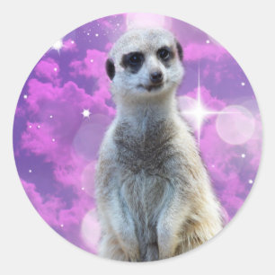 Adesivo Redondo Charme Shimmering: Meerkat no fundo do livro rosa