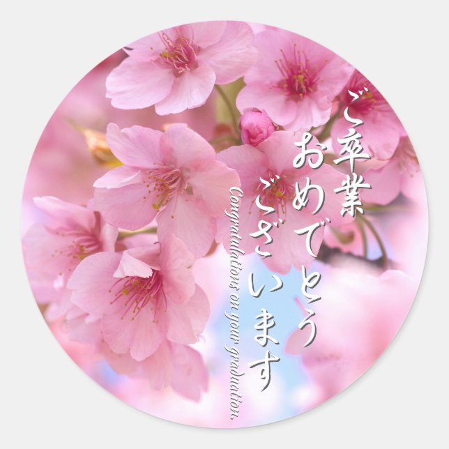 Adesivo Redondo Cherry blossom "Kawazu-Zakura"  ラウンドシール (Frente)