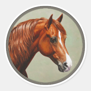 Adesivo Redondo Chestnut Morgan Horse