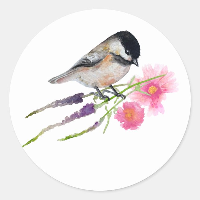 Adesivo Redondo Chickadee Black Capped Art (Frente)