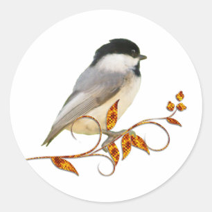 Adesivo Redondo Chickadee nas folhas Jeweled