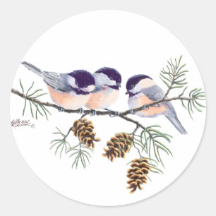 Adesivo Redondo CHICKADEES & PINECONES por SHARON SHARPE