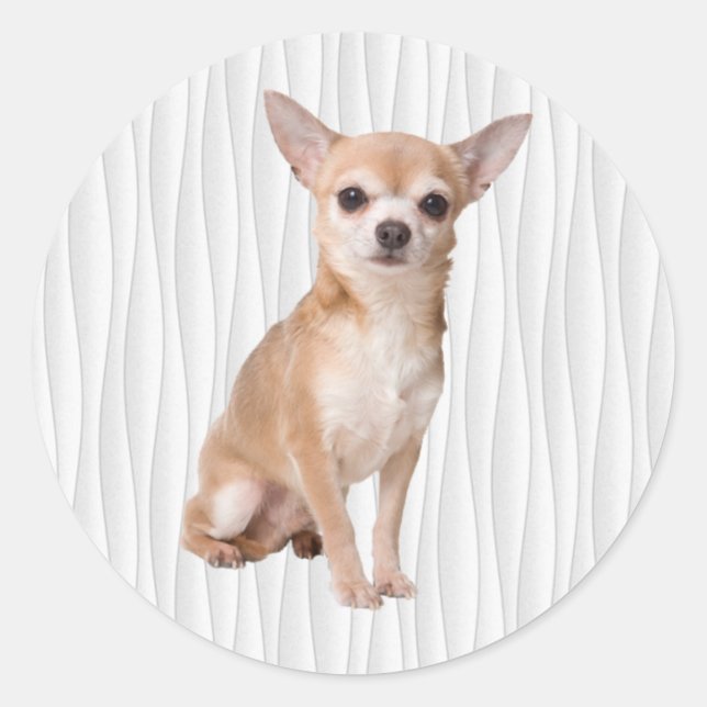 Adesivo Redondo Chihuahua (Frente)