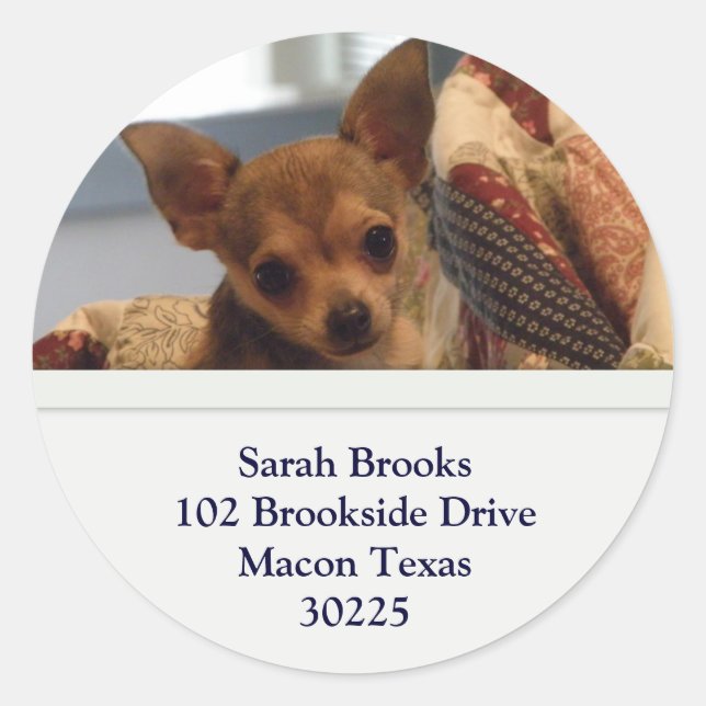 Adesivo Redondo Chihuahua Address Stickers (Frente)