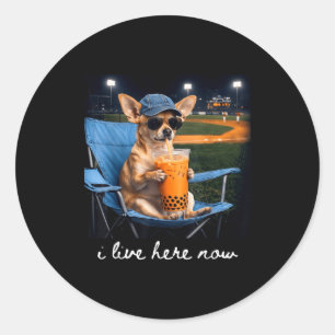 Adesivo Redondo Chihuahua bebe café gelado campo de beisebol ao vi