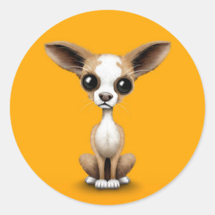 Adesivo Redondo Chihuahua curiosa bonito com as grandes orelhas no