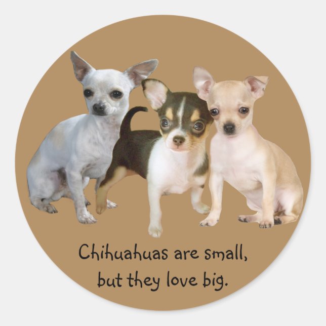 Adesivo Redondo Chihuahua Happy Trio Sticker (Frente)