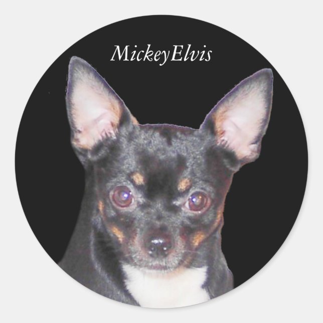 Adesivo Redondo Chihuahua MickeyElvis Sticker (Frente)