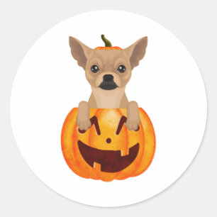 Adesivo Redondo Chihuahua Pumpkin