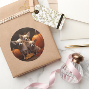 Adesivo Redondo Chihuahua Puppy Autumn Delight Pumpkin