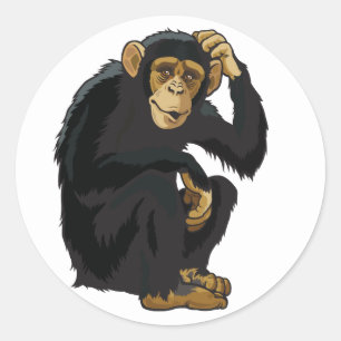 Adesivo Redondo chimpanzé