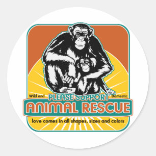 Adesivo Redondo Chimpanzé animal do salvamento