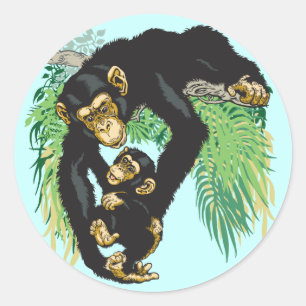Adesivo Redondo chimpanzé com bebê